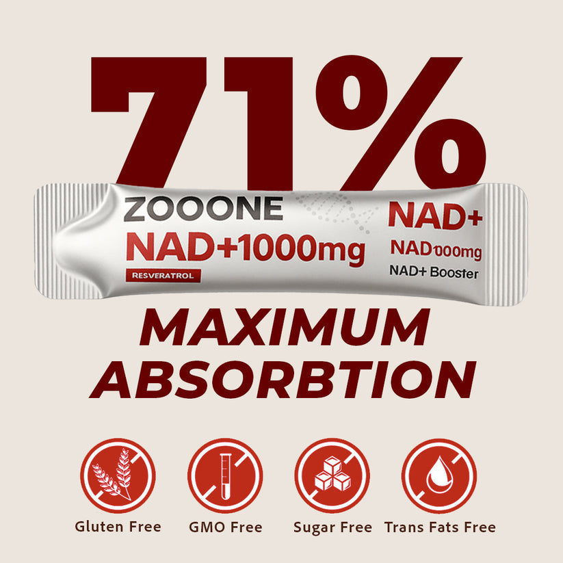 ZOOONE Liquid NAD+